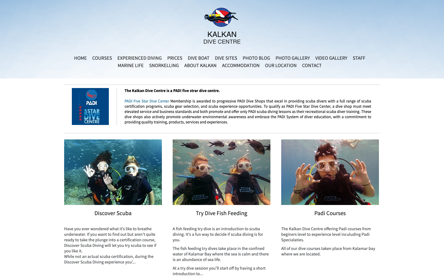 Kalkan Dive Centre web sitesi, 2015 arşiv görünümü